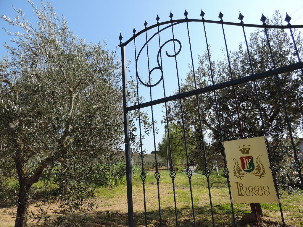 Maison d'hôtes Poggio Lungo à Grosseto Extérieur photo